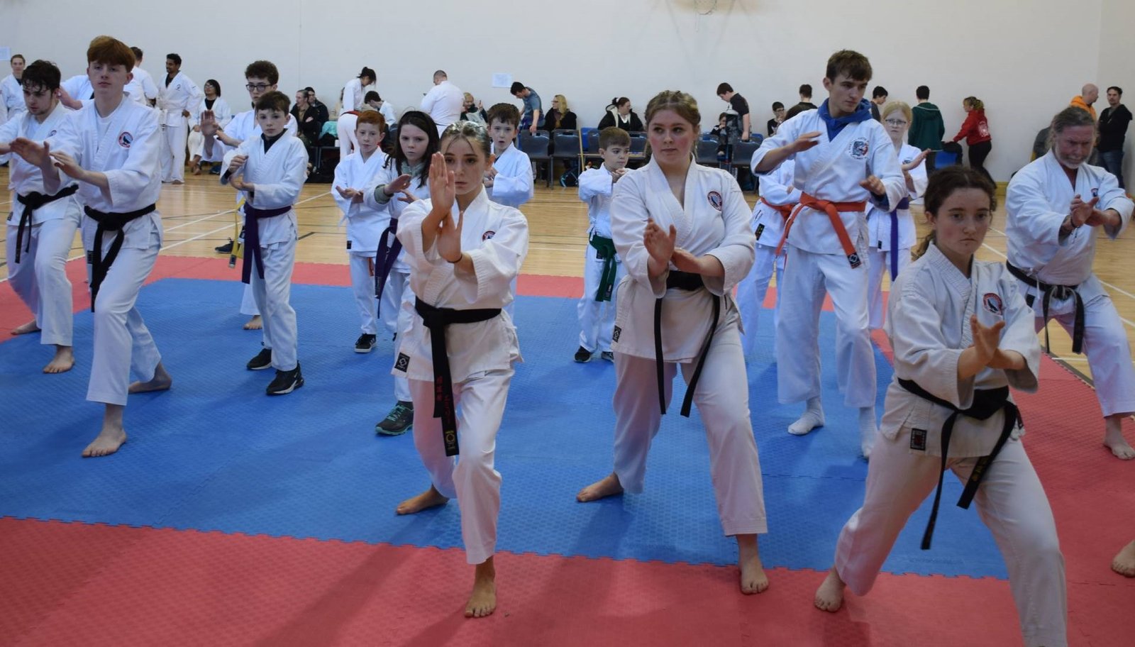 IMAF Ireland Annual Taikai 2025 – A Celebration of Martial Arts Unity and Learning